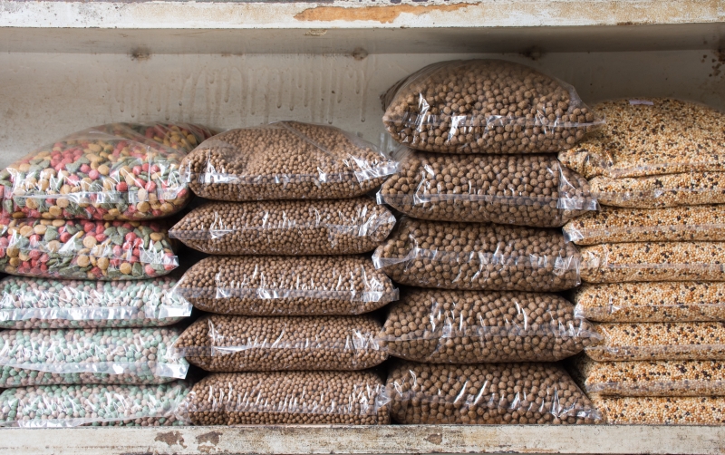 lp_support_shutterstock_1108931336.jpg Épicerie, Château de Monte-Cristo